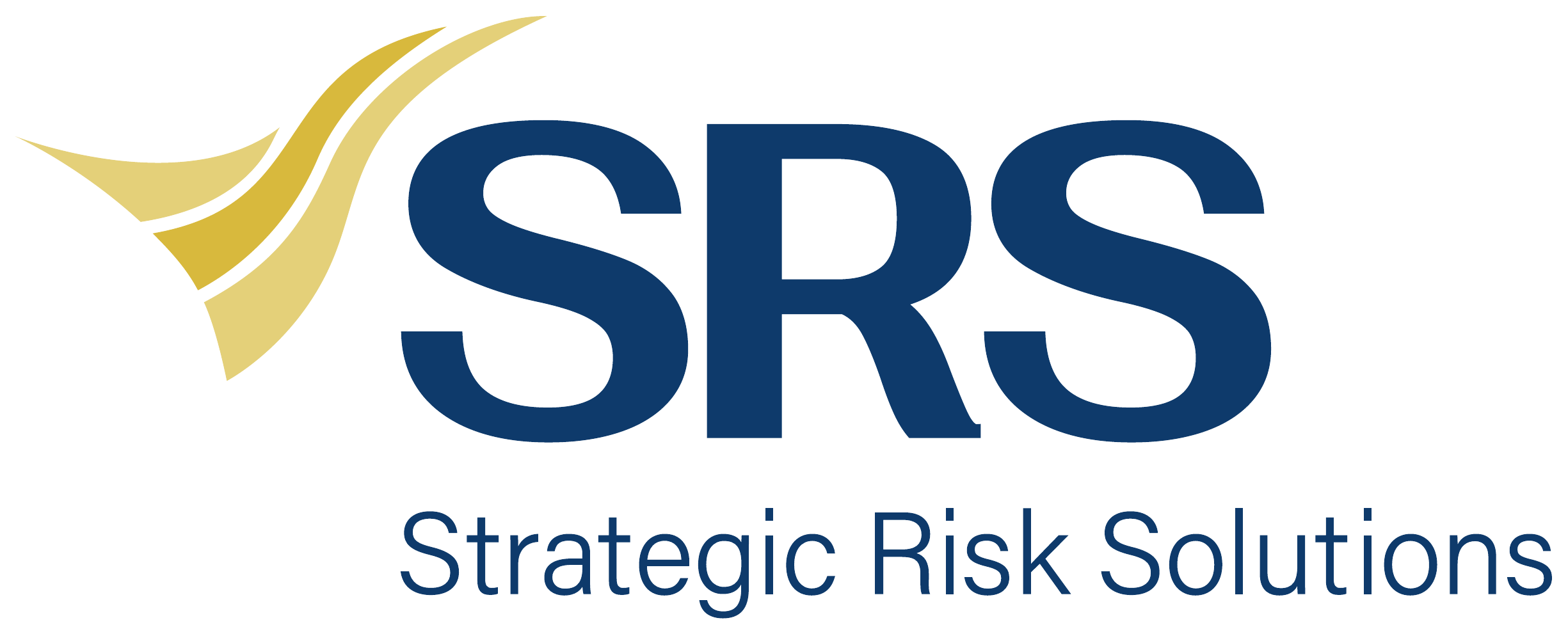 Strategic Risk Solutions